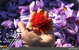 You are currently viewing خرید انواع زعفران خالص یک گرمی