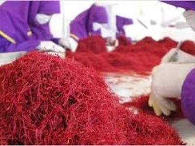 بسته بندی و صادرات زعفران به ترکیه