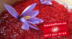 You are currently viewing سود صادرات زعفران ایران به اروپا