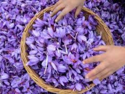 قیمت روز صادرات انواع زعفران ایرانی