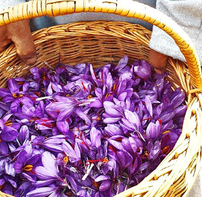 You are currently viewing صادرات زعفران ایرانی به اروپا