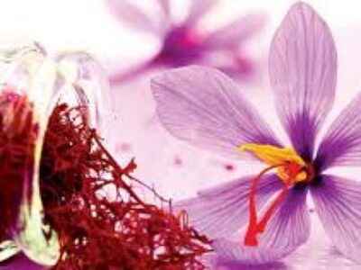 تاثیر مصرف دم کرده زعفران بر مردان