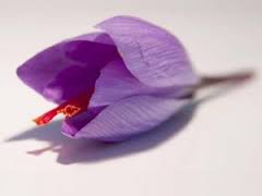 You are currently viewing صادرات هر گرم زعفران مرغوب به چین