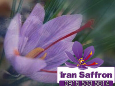 مجوز بهداشت خرید زعفران فردوس سرایان