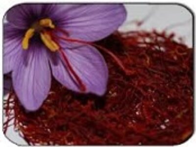 نرخ صادرات زعفران فله در همدان
