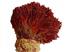 You are currently viewing صادرات زعفران سرخ درجه یک ایرانی
