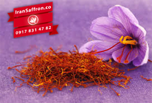 You are currently viewing وضعیت بازاریابی و صادرات زعفران به دنیا