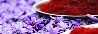You are currently viewing انواع زعفران سرگل با بهترین کیفیت