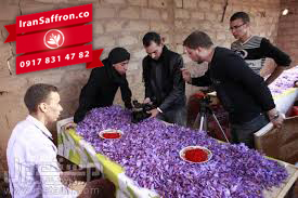 You are currently viewing تجارت و استفاده دارویی از زعفران ایرانی