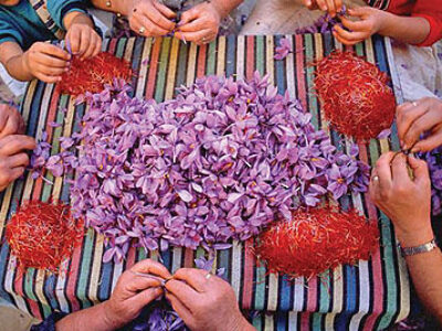 توزیع زعفران سرگل ممتاز صادراتی قائنات