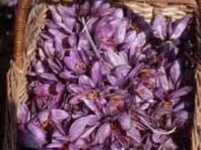 فروش انواع زعفران اصل ایرانی