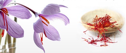 You are currently viewing خواص گیاه زعفران در درمان بیماریها