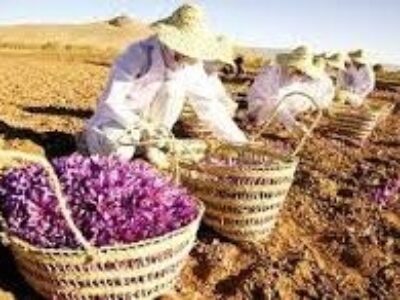 صادرات بهترین انواع زعفران ایران