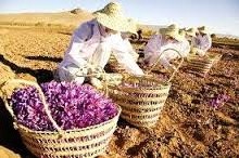 You are currently viewing صادرات بهترین انواع زعفران ایران