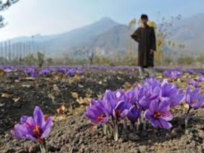 ارسال انواع زعفران اصلی ایرانی با پست