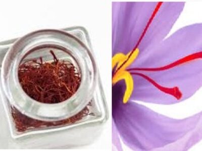 صادرات مثقالی انواع زعفران سرخ فام ایرانی