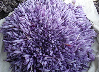 You are currently viewing میزان گل مصرفی در تولید انواع زعفران