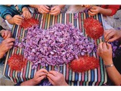 صادرات زعفران فله به ترکیه