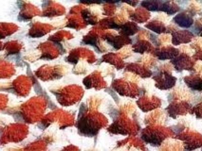 فروش زعفران نگین با قیمت مناسب