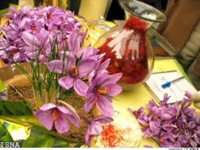 قیمت مستقیم زعفران صادراتی بسته بندی شده