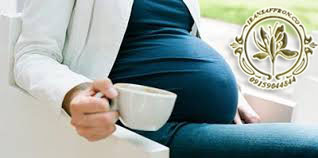 You are currently viewing خواص درمانی دمنوش زعفران عسل در بارداری