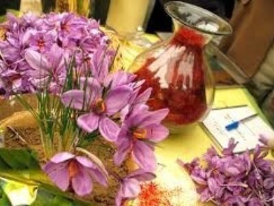 خرید و فروش تضمینی زعفران نگین ایرانی