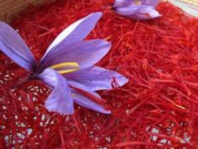 تولید سالانه زعفران خالص در خمین