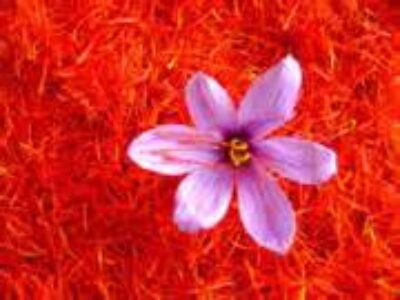 صادرات زعفران مرغوب به انگلیس