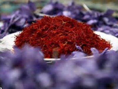 صادرات زعفران اعلا به اسپانیا