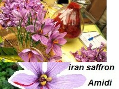 آیا از کیفیت زعفران ممتاز ایران اطلاع دارید؟
