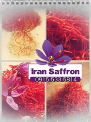 You are currently viewing صادرات زعفران ایرانی عالی به آمریکا