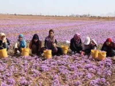 فروش زعفران درجه یک در کشور