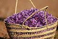 You are currently viewing صادرات انواع زعفران ایرانی به امریکا