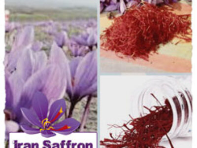 تاثیر بازاریابی بر فروش زعفران ایرانی