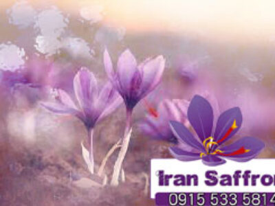بهترین زمان کاشت پیاز زعفران ایران