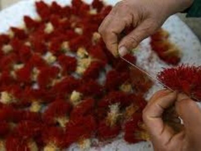 وضعیت صادرات زعفران در بازار جهانی