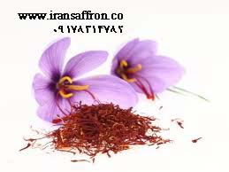 You are currently viewing فروش ویژه سفیدی زعفران در سراسر کشور