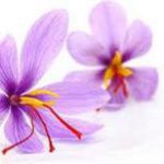 قوانین صادرات زعفران بسته بندی گلستان