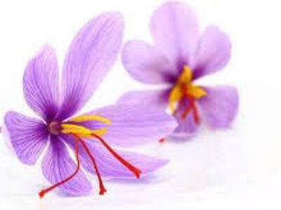 قوانین صادرات زعفران بسته بندی گلستان