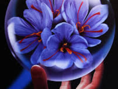 خواص گلبرگ زعفران در درمان