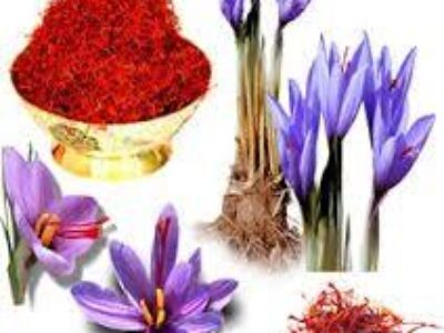 قیمت تولید زعفران اصل قائنات