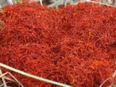 صادرات زعفران خشک بار به قطر