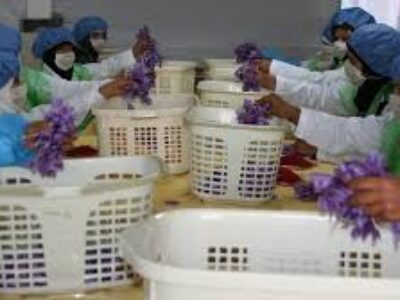 فروش زعفران صادراتی در ارمنستان