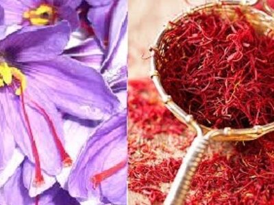 فروش زعفران به قیمت خرید از کشاورز