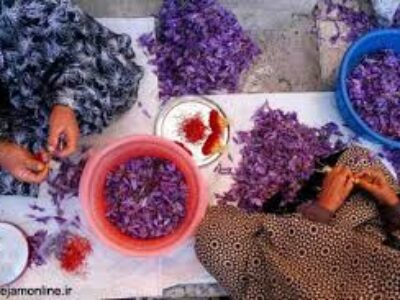 قیمت خرید زعفران اصل ایرانی