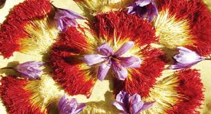 You are currently viewing صادرات زعفران تولیدکنندگان گناباد به اروپا