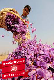 You are currently viewing قیمت زعفران هرات در بازار اروپا