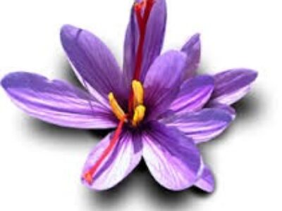 صادرات آنلاین زعفران پوشال اصل