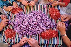 You are currently viewing صادرات زعفران نگین به هند