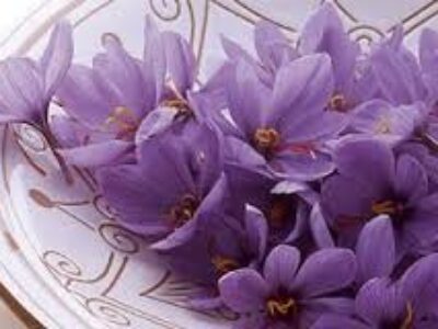 مهم ترین خواص مفید گل زعفران